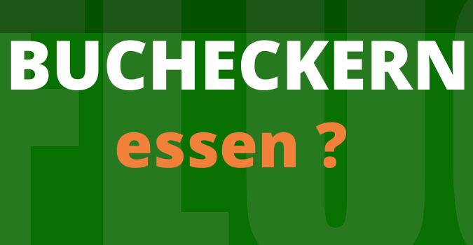 kann man Bucheckern essen