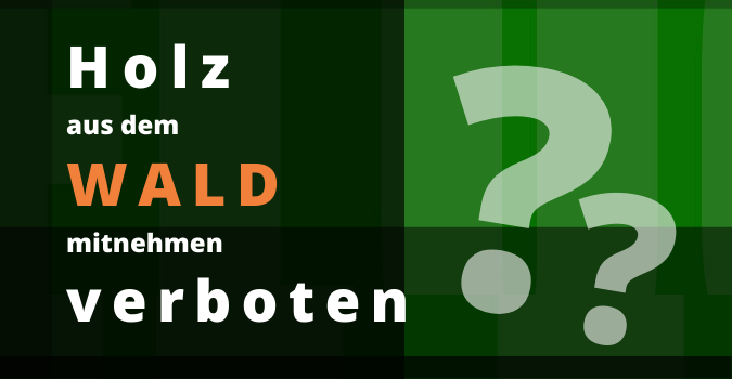 Holz aus dem Wald mitnehmen