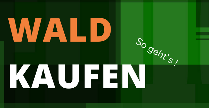 Wald kaufen