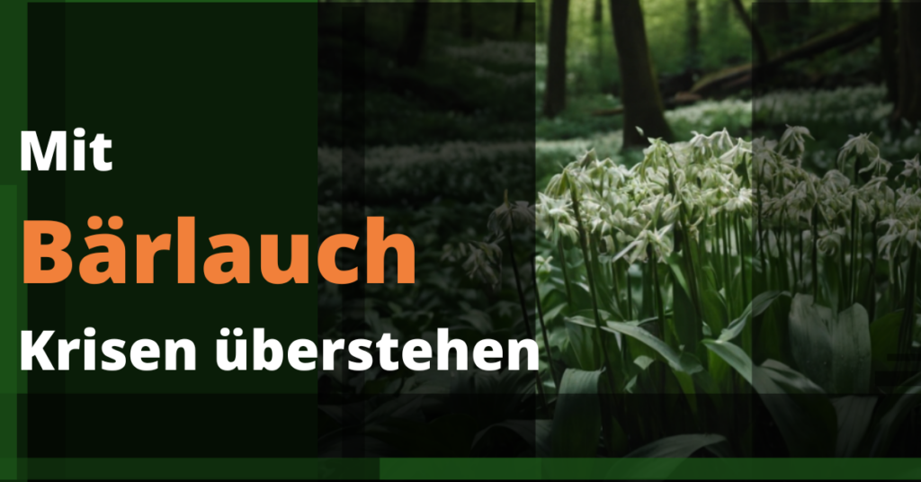 Bärlauch
