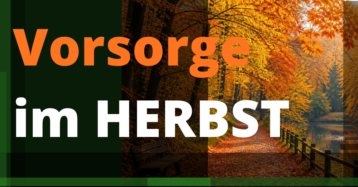 herbst vorsorge